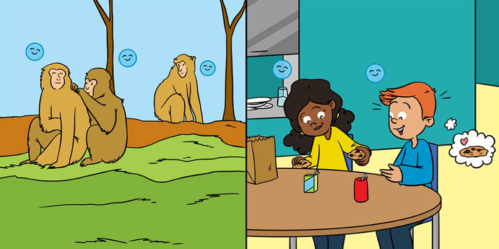 Painel com duas ilustrações. À esquerda um grupo de macacos caçando piolhos uns nos outros. À direita uma menina divide um biscoito com um menino. O menino e a menina se sentem felizes