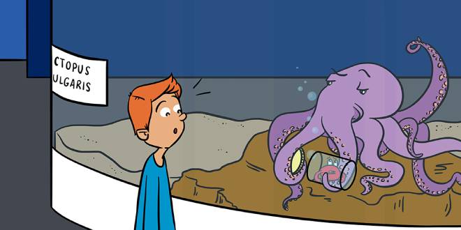 Ilustração de um homem olhando para um polvo dentro de um aquário. O polvo abre com seus tentáculos um pote com um caranguejo dentro