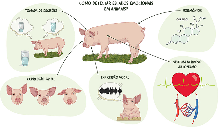 Resultados fisiológicos e comportamentai