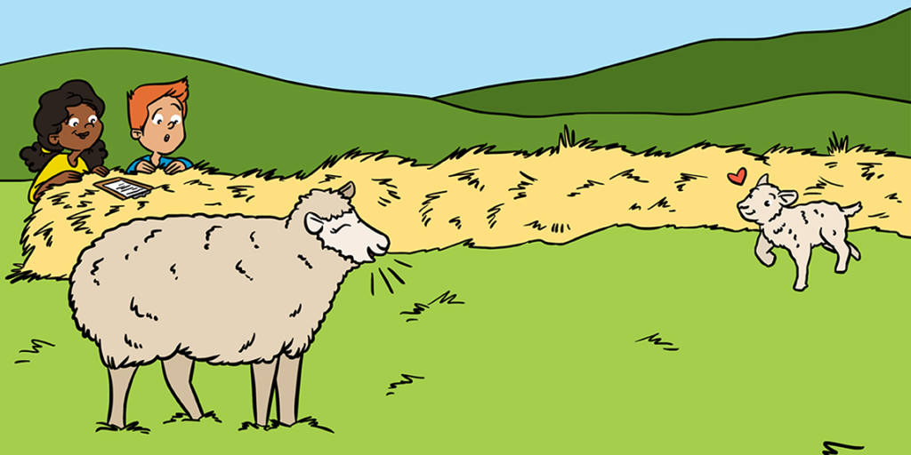 Duas ovelhas em cima de um campo verde exuberante