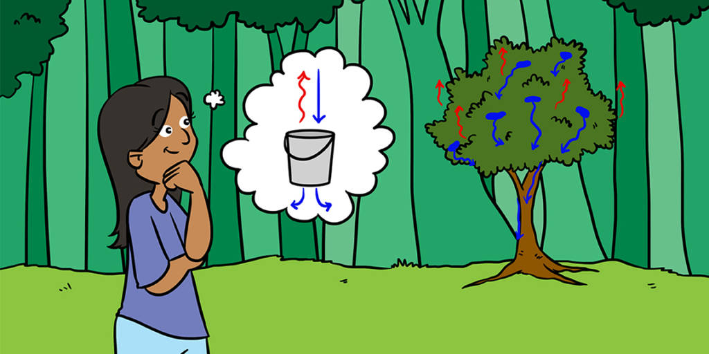 Ilustração de uma mulher em pé na frente de uma árvore. Setas apontam a direção do fluxo da água que passa pela planta e a evaporação. No balão de pensamento da mulher há um balde com as mesmas setas