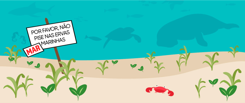 Ilustração de um jardim submerso com uma placa que alerta que não deve-se pisar nas ervas marinhas.