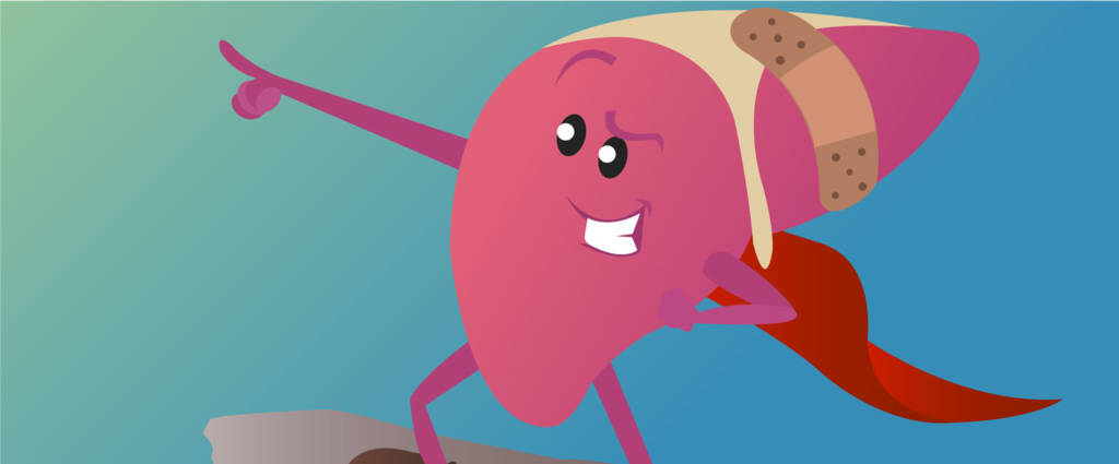 Ilustração de um fígado posando, ele esta usando uma capa de super herói e um bandeide. 