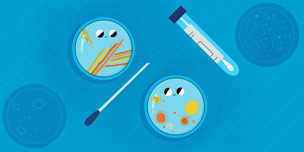 Ilustração de um tubo de ensaio, um conta-gotas e duas placas de observação de micro-organismos, todos dispostos sobre um fundo azul.