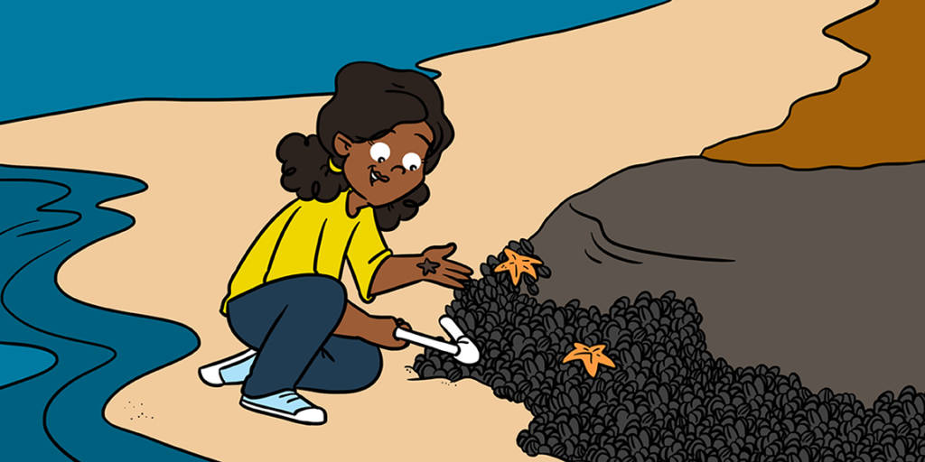 Ilustração de uma mulher agachada na areia da praia envolvida na busca por mexilhões e estrelas-do-mar.