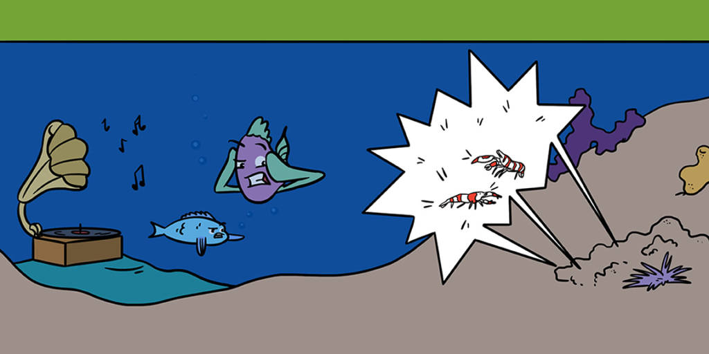 Uma ilustração mostra uma vitrola antiga naufragada no fundo do mar, tocando ruidosamente. Em volta, dois peixes aparecem visivelmente irritados pelo barulho. Uma dupla de camarões pistola por perto contribui para o o estardalhaço. 