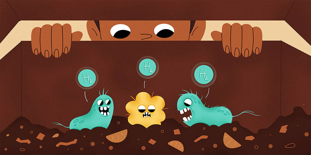 Ilustração de um garoto espiando dentro de uma lixeira onde micróbios consomem o lixo e produzem hidrogênio.